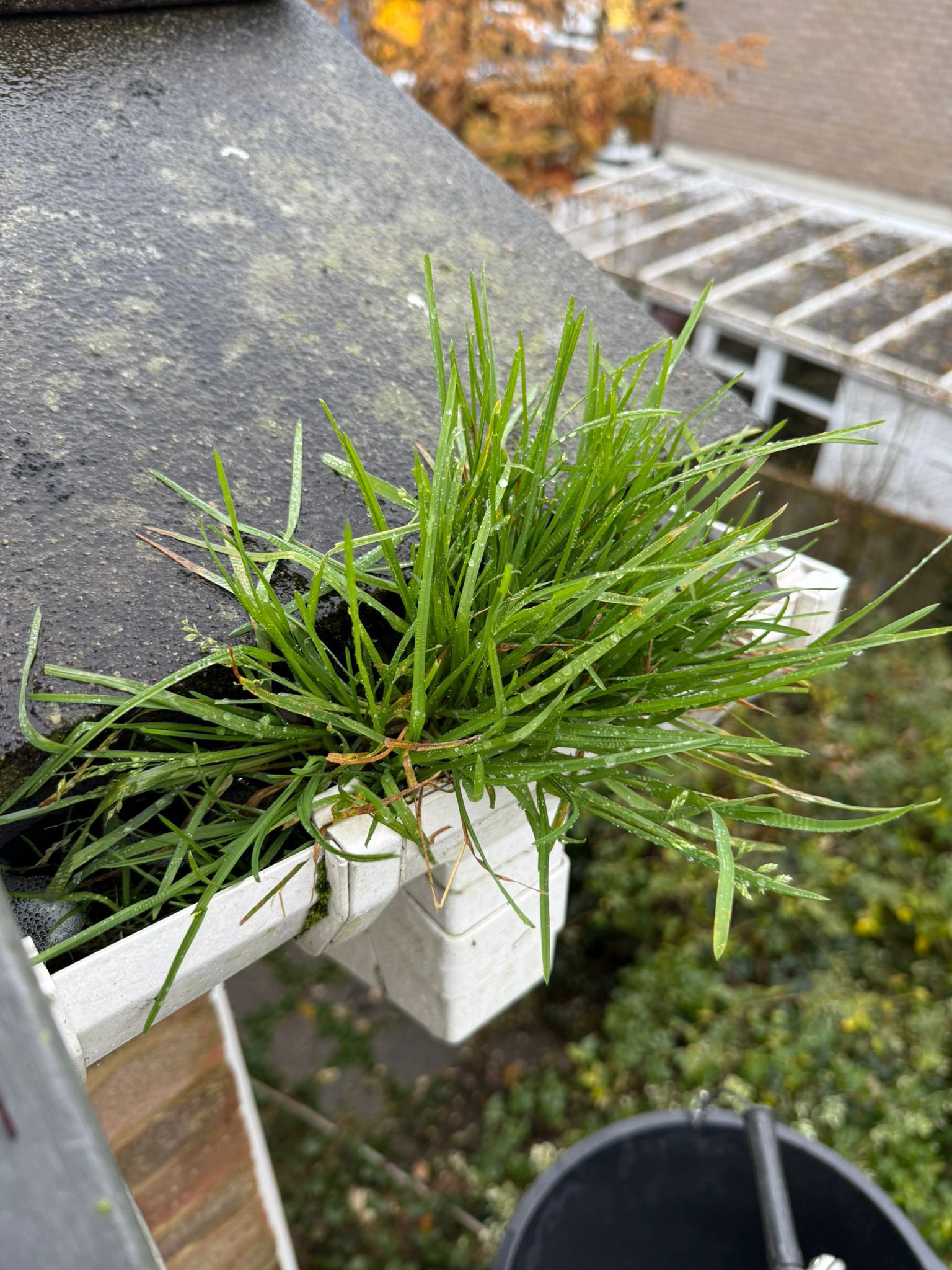 Blocked gutter downpipe in Walton-on-Thames